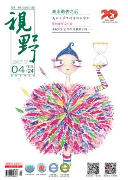 视野 17年第4期