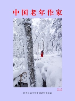 世界汉语文学中国老年作家版 16年第4期