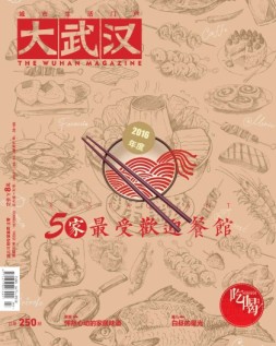 大武汉 17年第1-2期