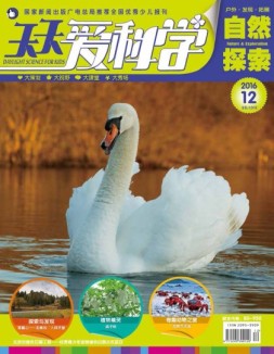 天天爱科学 16年12月号