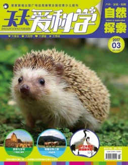 天天爱科学 17年3月号