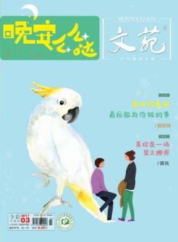 文苑 17年第3期