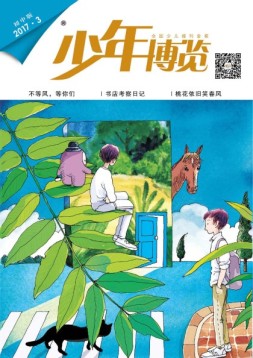 少年博览·初中版 17年3月号