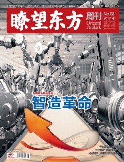 瞭望东方周刊 17年第8期
