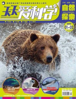 天天爱科学 17年1-2月号