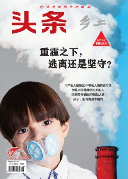 乡土·头条 17年2月号