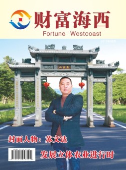 财富海西 17年3月号