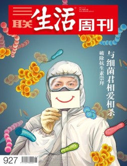三联生活周刊 17年第11期