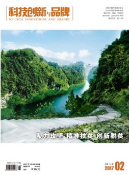 科技创新与品牌 17年2月号