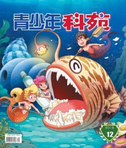 青少年科苑 16年第12期