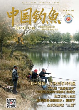 中国钓鱼 16年11月号（精简版）