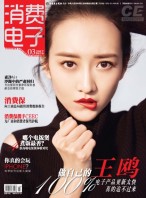 消费电子 17年3月号