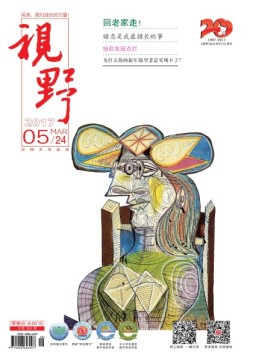 视野 17年第5期