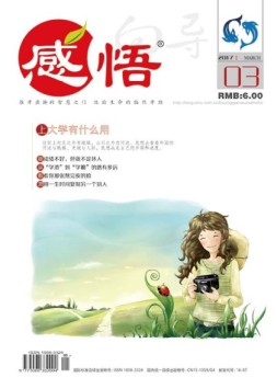 向导·感悟 17年第3期