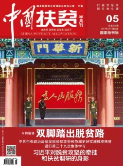 中国扶贫 17年第5期