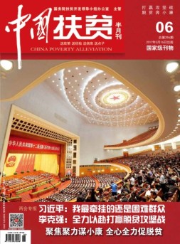 中国扶贫 17年第6期