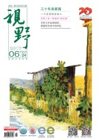 视野 17年第6期