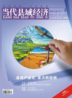 当代县域经济 17年4月号