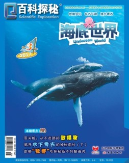 百科探秘·海底世界 17年3月号