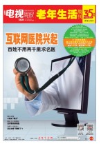 广东电视周报 17年第13期