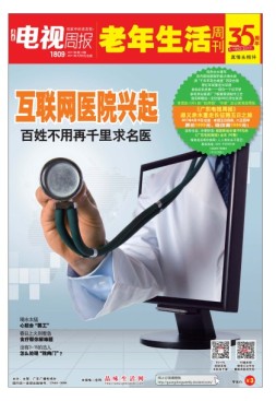 广东电视周报 17年第13期