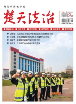 楚天法治 17年第2期