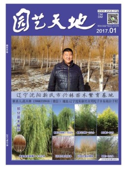 园艺天地 17年1月号