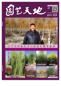 园艺天地 17年3月号