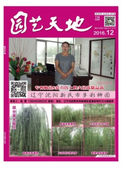 园艺天地 16年12月号