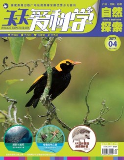 天天爱科学 17年4月号