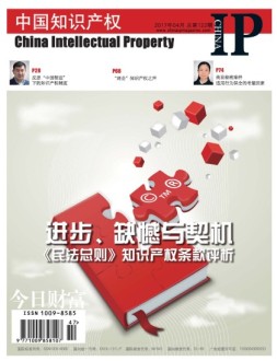 中国知识产权 17年4月号