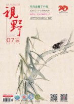视野 17年第7期