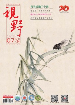 视野 17年第7期