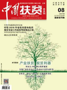 中国扶贫 17年第8期