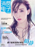 消费电子 17年4月号