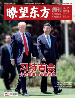 瞭望东方周刊 17年第15期