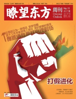 瞭望东方周刊 17年第11期