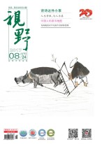 视野 17年第8期