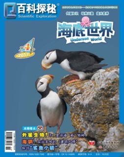 百科探秘·海底世界 17年4月号