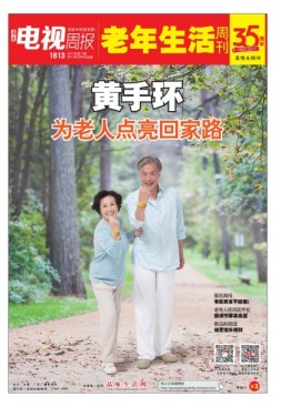 广东电视周报 17年第17期