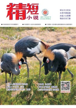 精短小说 17年第5期