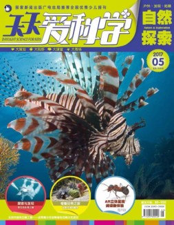 天天爱科学 17年5月号