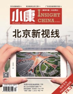 小康 17年5月上