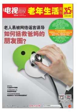 广东电视周报 17年第18期