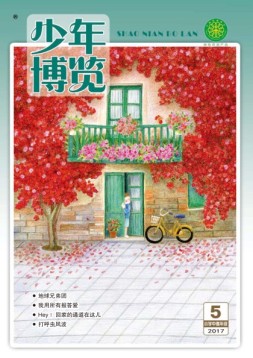 少年博览·小学高年级版 17年5月号