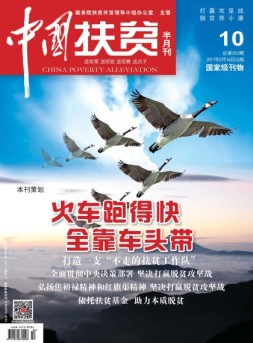 中国扶贫 17年第10期
