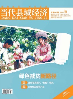当代县域经济 17年5月号