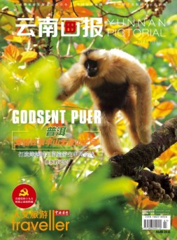 云南画报·云南旅游 17年第4期