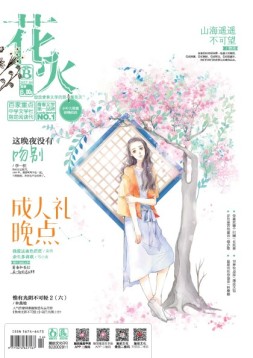 花火 17年5月B
