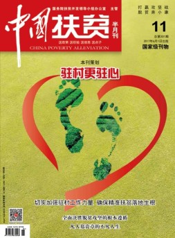 中国扶贫 17年第11期